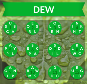 wordscapes-dew-answers