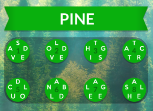 wordscapes-pine-answers